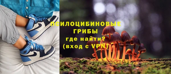 гашик Балахна