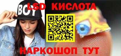 бошки Кингисепп
