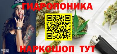 бошки Кингисепп