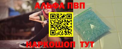 бошки Кингисепп