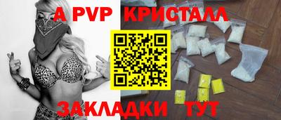 бошки Кингисепп
