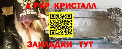 бошки Кингисепп