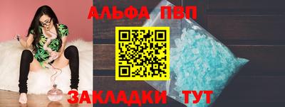 бошки Кингисепп